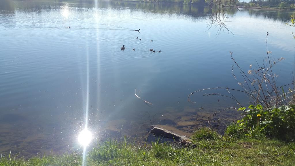 Camping La Motte Flottante La Freissinouse Exterior foto